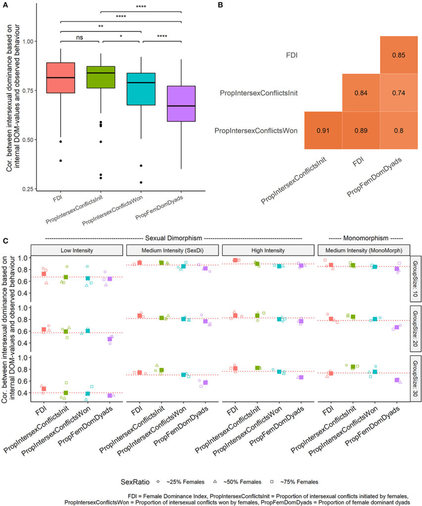 Figure 2 from Seex et al. 2022b (How to measure intersexual dominance?)./ Top left shows a boxplot comparing the accuracy of different measures of intersexual dominance (from most to least accurate, Female Dominance Index, proportion of intersexual fights initiated, proportion of intersexual fights won, proportion of female-dominant dyads). Top right shows that all these measures correlated with each other. Bottom figure shows that measures in general were more accurate when groups were small or more intense in their aggression.